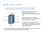 What is a Fuel Cell?