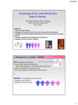 The Biology of Sex: How We Become Male or Female.