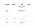 Teacher Copy of Cell Structure Meet and Greet