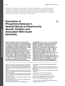 Expression of Phosphofructokinase in Skeletal Muscle Is