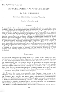 do coleoptile tips produce auxin?