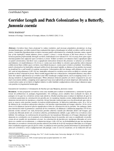 Corridor Length and Patch Colonization by a Butterfly, Junonia coenia
