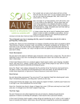 Ever wonder why we talk so much about soil here at Soils Alive? Or