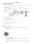 Unit 3 Biochemistry