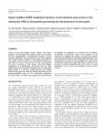 Infection Merozoite Surface Protein 1 During Malaria 19