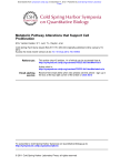 Proliferation Metabolic Pathway Alterations that Support Cell