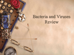 Bacteria and Viruses Review