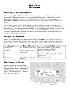 Unit 3 Notes The Viruses