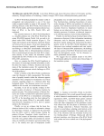 The Ribosome and the RNA World. Loren Dean Williams and