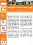 Simple Inheritance in Beef Cattle
