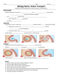 Biology Notes: Active Transport