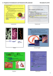 2 - Kingdoms Archaebacteria and Eubacteria (P5).notebook