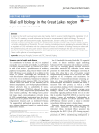 Glial cell biology in the Great Lakes region