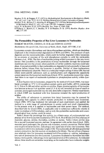 The Permeability Properties of Rat Liver Lysosomes to Nucleosides