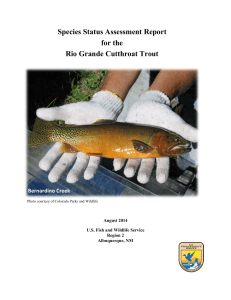 Species Status Assessment Report for the Rio Grande Cutthroat Trout