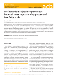 Mechanistic insights into pancreatic beta