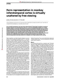 Form representation in monkey inferotemporal cortex is virtually