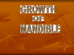 growth of mandible