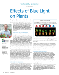 Effects of Blue Light on Plants - MSU Floriculture