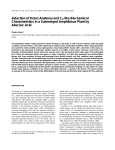 Induction of Kranz Anatomy and C4-like