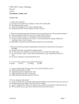 Creative Technology Exam #2 3/14/02 25 problems, 3 points each