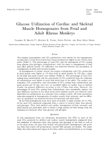 Glucose Utilization of Cardiac and Skeletal Muscle