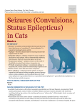 Seizures (Convulsions, Status Epilepticus) in Cats