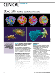 Blood cells - Nursing Times