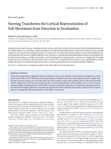 PDF - Journal of Neuroscience