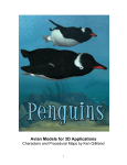 Penguins - Documentation Center