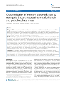 Characterization of mercury bioremediation by transgenic bacteria