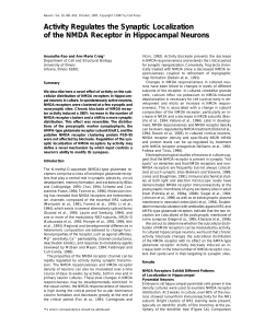 Activity Regulates the Synaptic Localization of the NMDA Receptor