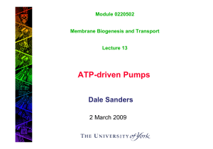 ATP-driven Pumps