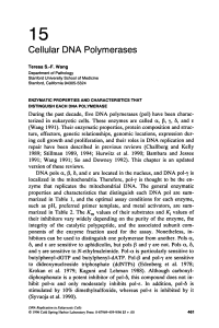 Cellular DNA Polymerases - DNA Replication and Human Disease