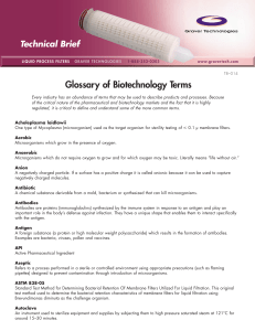 Glossary of Biotech Terms