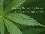 Weeding Through the Issues of Marijuana Legalization