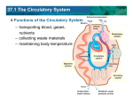 30.3 The Heart and Circulation 37.1 The Circulatory System