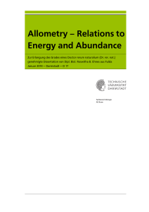 Allometry – Relations to Energy and Abundance