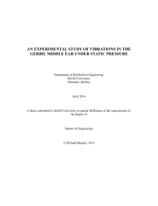 an experimental study of vibrations in the gerbil middle ear under