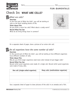 Check In: WHAT ARE CELLS?