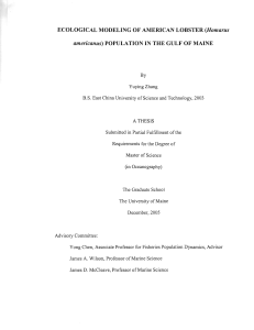 ECOLOGICAL MODELING OF AMERICAN LOBSTER (Homarus