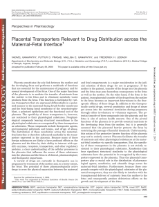 Placental Transporters Relevant to Drug Distribution across the