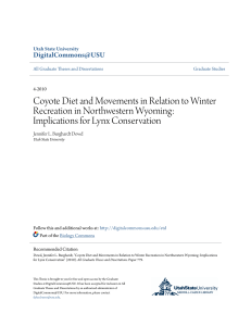 Coyote Diet and Movements in Relation to Winter Recreation in