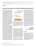 Lipids in Leaves: Fatty Acid b-Oxidation Affects Lipid