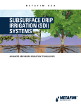 Sub-Surface Drip Irrigation Systems
