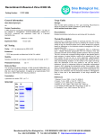 Recombinant Influenza A Virus H3N2 HA