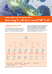 T helper cell polarization_150305.indd