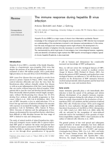 The immune response during hepatitis B virus infection