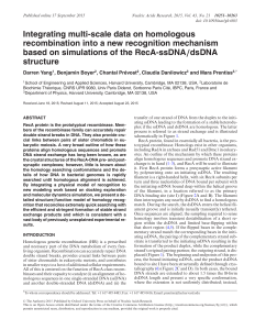 Integrating multi-scale data on homologous recombination into a