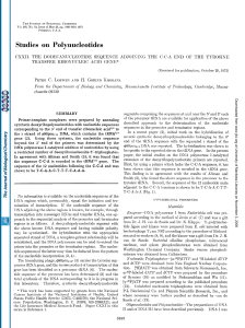 Studies on Polynucleotides